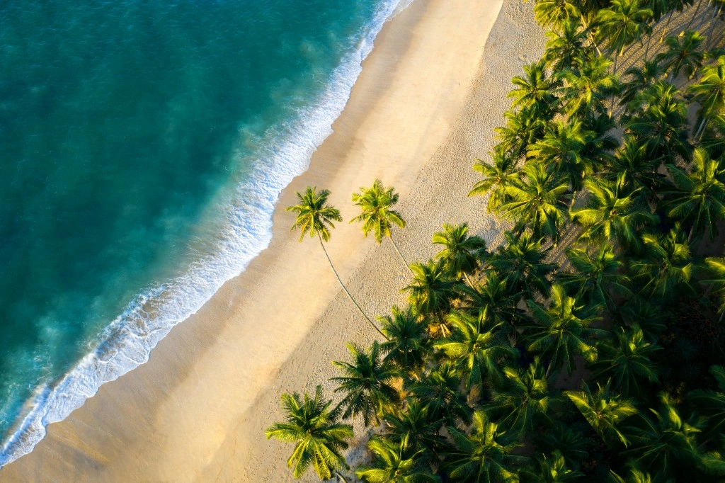 Calm tropical beach with gentle waves along Sri Lanka's shoreline