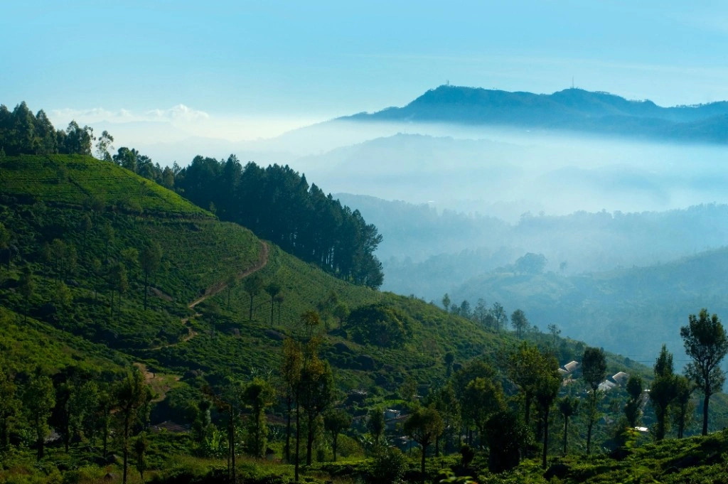 Rolling green hills and valleys of Sri Lanka's central highlands